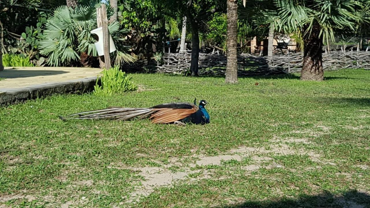 Rancho Do Buna Barreirinhas Exterior photo